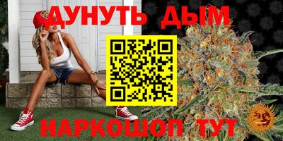 стаф Будённовск