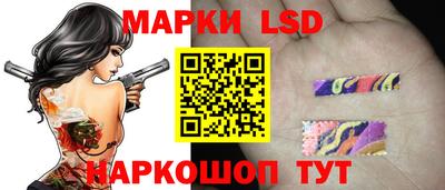 стаф Будённовск