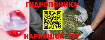 стаф Будённовск