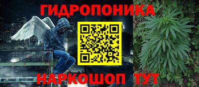 стаф Будённовск