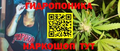 стаф Будённовск